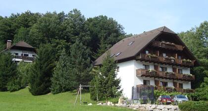 Apartment for 2-4 persons - No. 1 - Apartments Haus Bianca and Sterngut