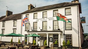 Unclassified image, 4 of 72, button - The Castle Hotel (Llandovery)