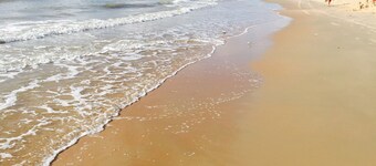 Amazing Panoramic Gulf Views-120 Steps to Beach- Huge Deck- Large Beautiful Home