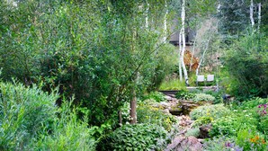 A garden with various plants and a small stream. - Terracehouse 93 - Steps to Slopes | Inviting Mountain Retreat, Pool & Hot Tub (Snowmass Village)
