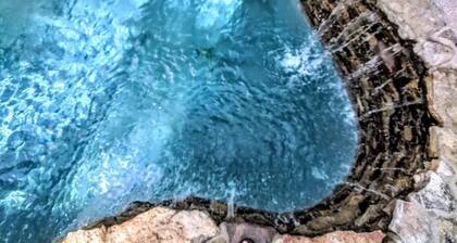 Mid Century Oasis❤️Uima-allas-UlkoiluMod