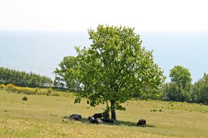 Luokittelematon kuva, 5 kautta 15, painike