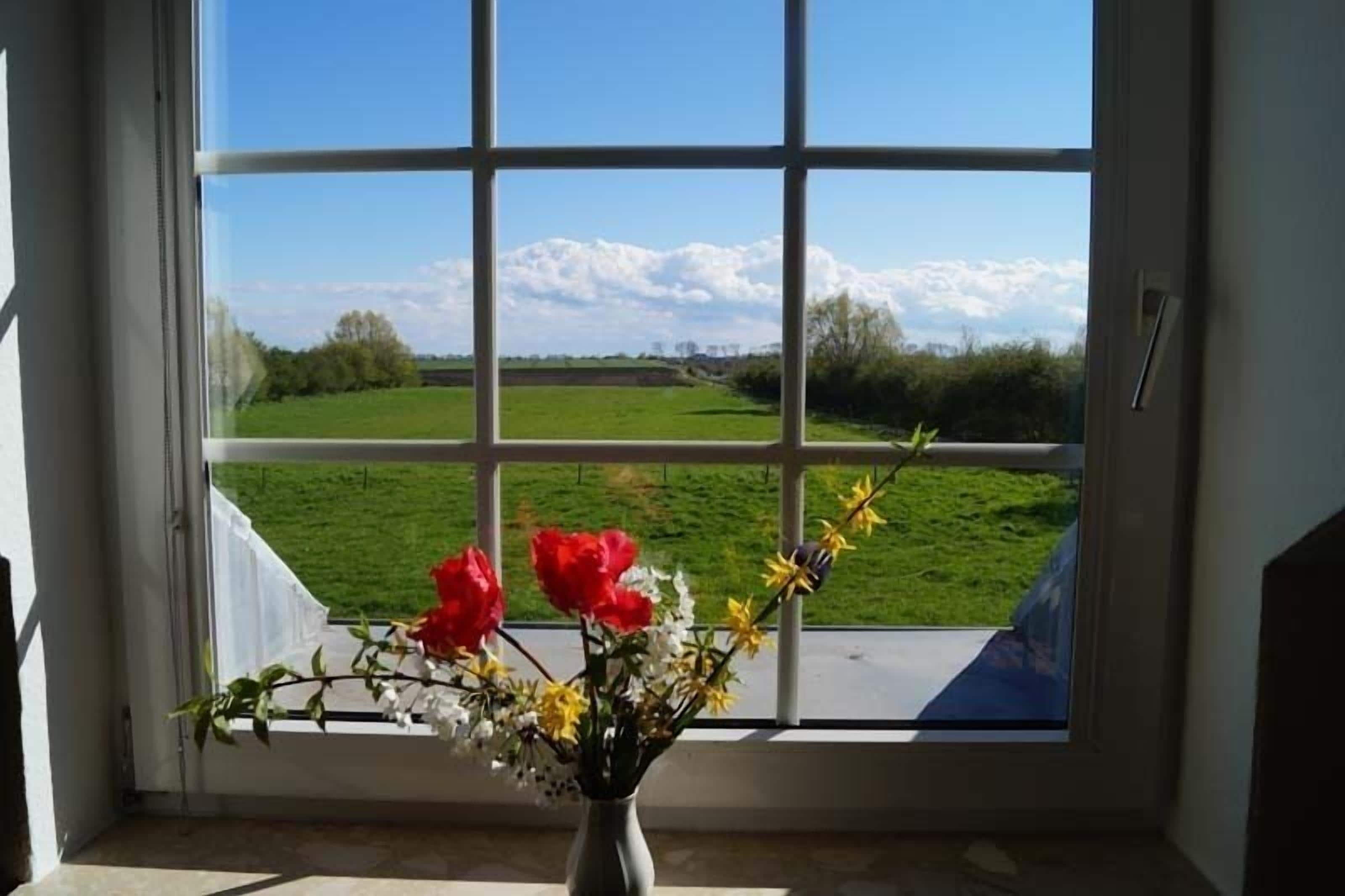 Utsikt fra overnattingsstedet