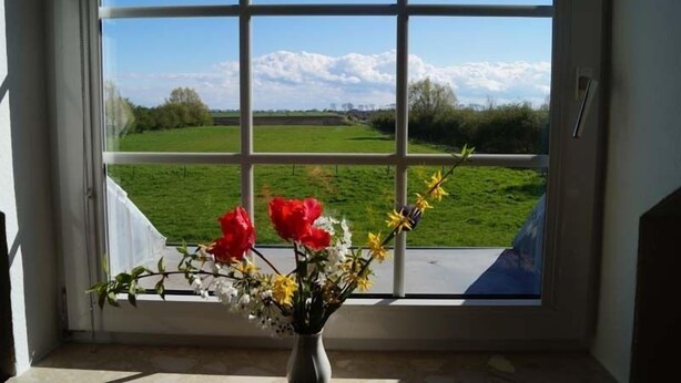 A window with a view of a green field and a clear sky. - Haus an der Pferdekoppel (Fehmarn)