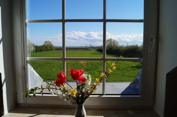 View from property - Haus an der Pferdekoppel (Fehmarn)