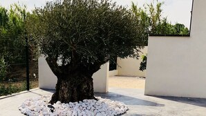 Ein Innenhof mit einem großen Baum, umgeben von weißen Kieselsteinen, einem Kompassmuster im Boden und einem Zaun im Hintergrund.