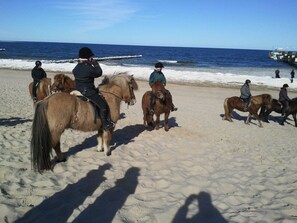 Beach nearby - Pamir - **350m to the Baltic Sea beach** - Windjammer 1 (Koserow)