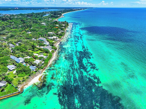 Beach - Cute One Bedroom Suite at Bianco Sands Siesta Key! (Siesta Key)