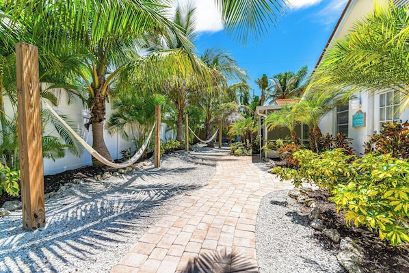 A paved pathway lined with palm trees and a hammock, leading to a building with a sign.
