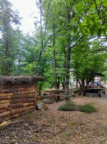 Roulotte le Bleuet, in a natural setting close to hiking trails