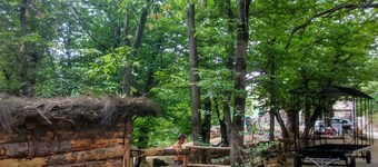 Roulotte Bleuet, i et naturlig miljø