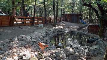 Overnatningsstedets område