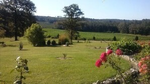 Un paysage rural avec un champ d’herbe, des arbres et un mur de pierres.