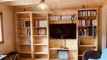 Televisie, videospelletjes, een dvd-speler en boeken