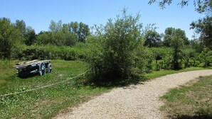 Een grindpad in een natuurlijke omgeving met een kar en een touw afzetting.