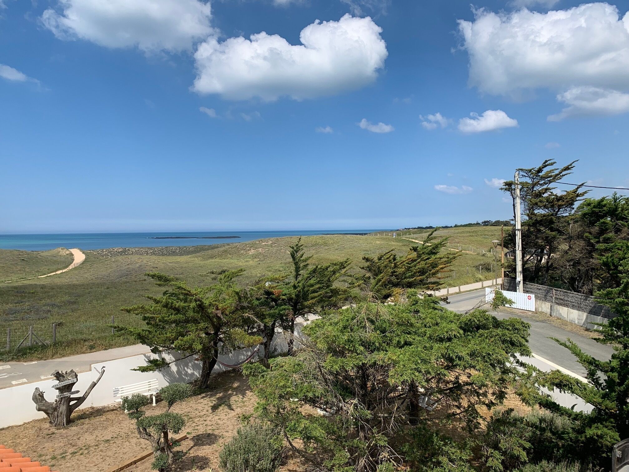 A coastal landscape with a dirt path leading to the sea, surrounded by greenery and a white fence.
