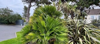 HUIS IN DE BUURT VAN DE ZEE