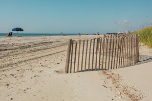 On the beach