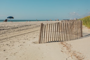 On the beach