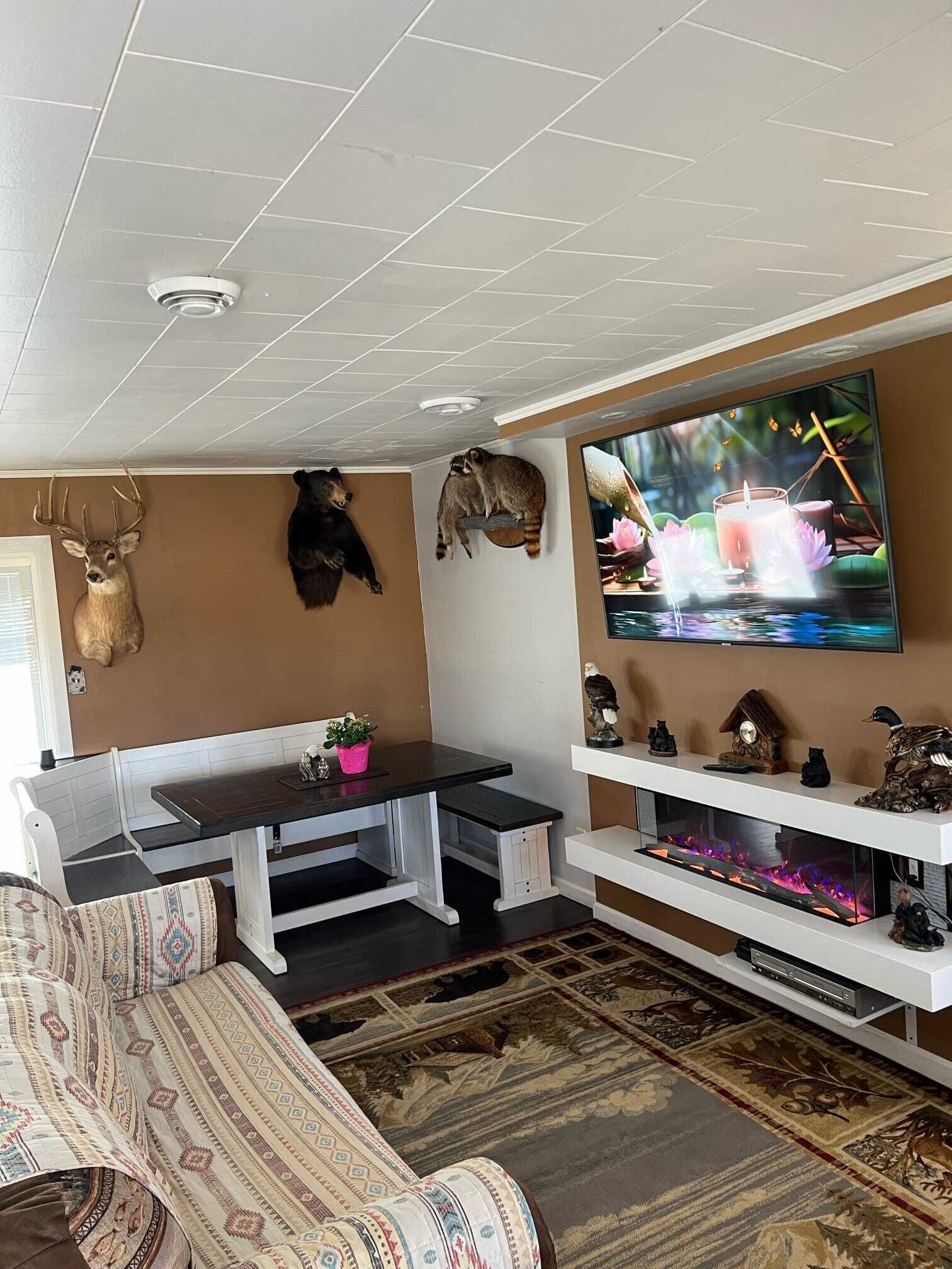 Smart-TV, Kamin, DVD-Player, Videothek