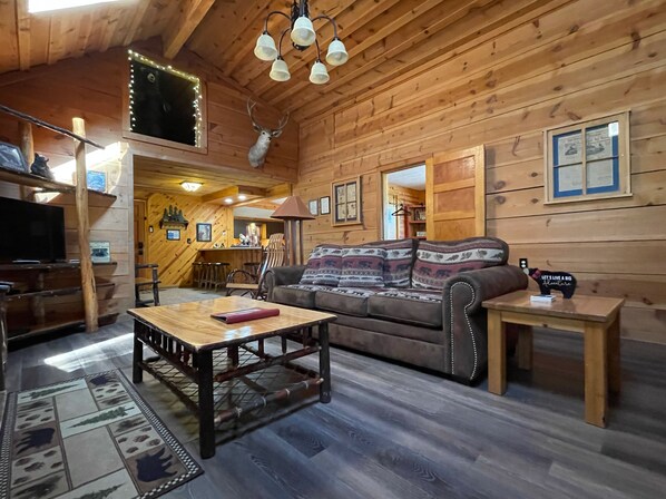 Smart TV, fireplace, DVD player, books