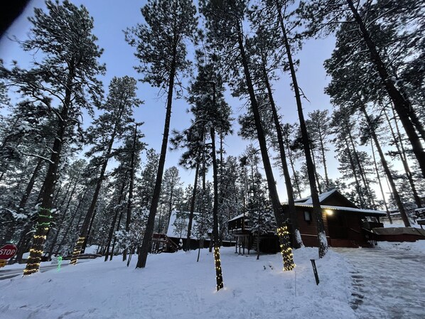 Exterior - LITTLE BEAR CABIN 🐻UPPER CANYON/RefrgAir/HOT TUB (Ruidoso)