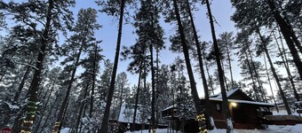 LITTLE BEAR CABIN 🐻UPPER CANYON/RefrgAir/HOT TUB