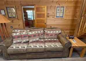 Smart TV, fireplace, DVD player, books