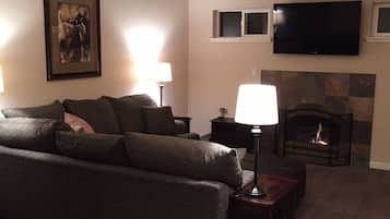 TV connectée, cheminée, lecteur de DVD, livres