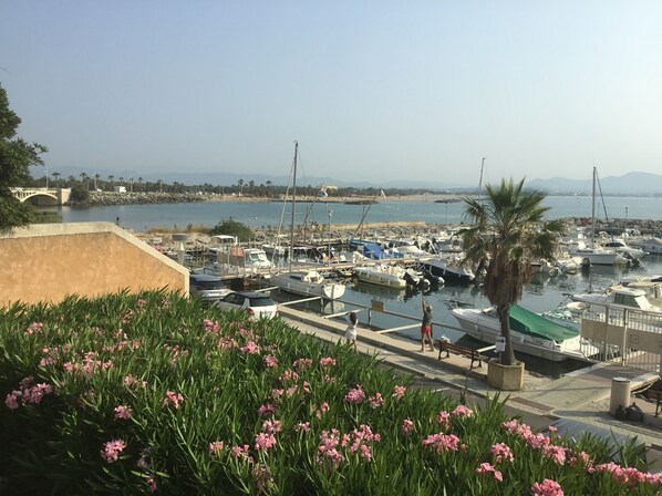 مارينا