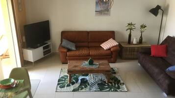 Télévision, livres