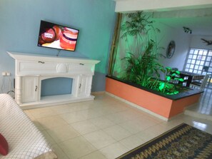 TV connectée, Netflix