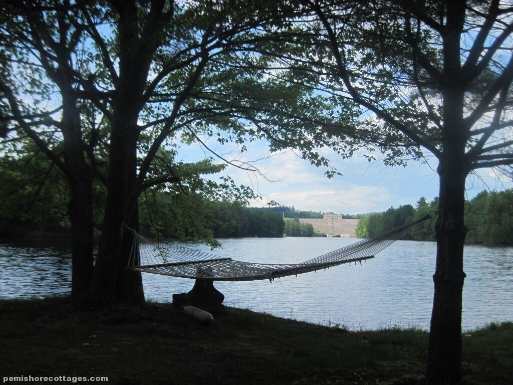 Rustic cottage on the water - private and pet friendly!