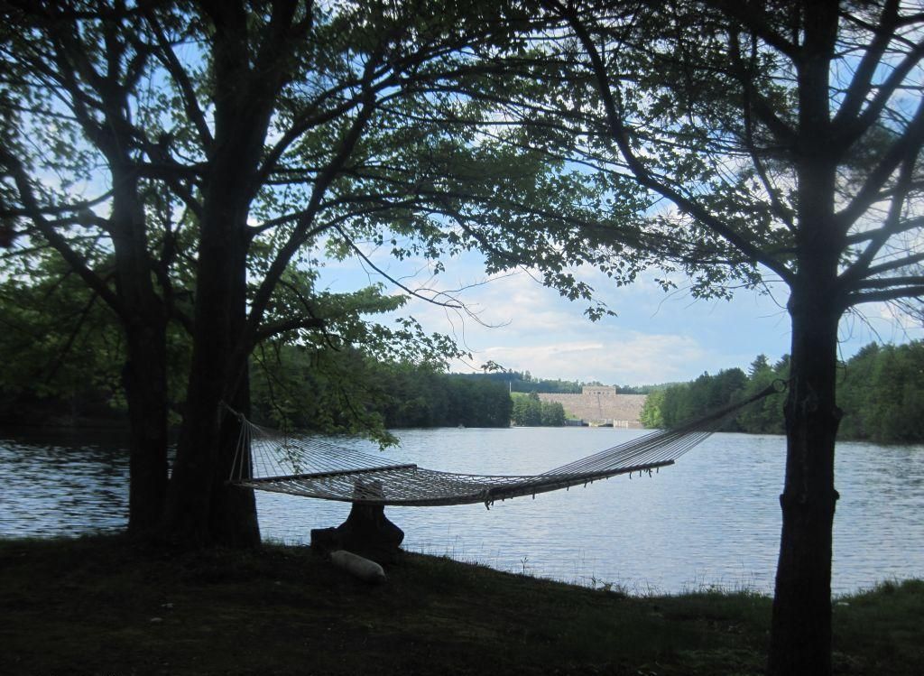 A hammock tied between two trees by a lake with a view of a distant building.