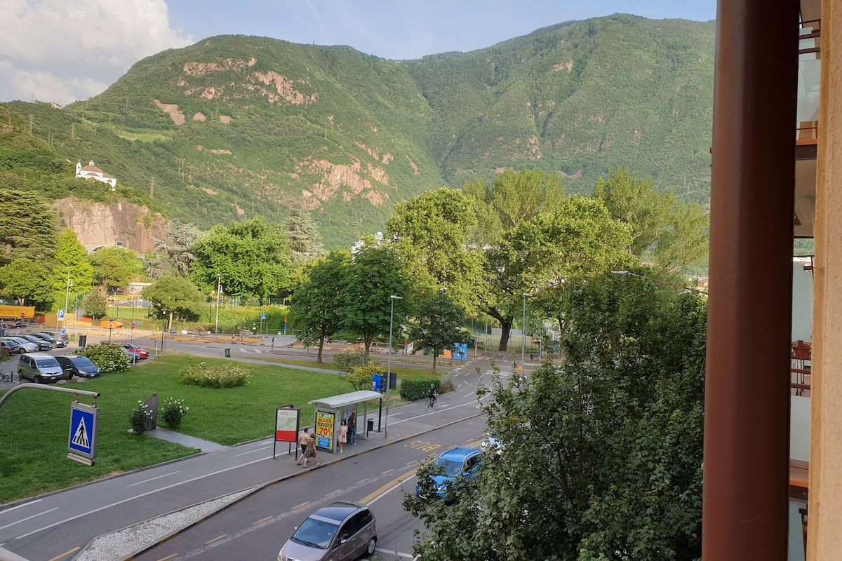 A view of a road with a bus stop, cars, and greenery.