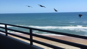 A beach view with waves and birds flying over the ocean. - OCEANFRONT NEAR THE PIER!OCEAN VIEW FROM EVERY ROOM! 2-2 WRAPAROUND BALCONY! (Daytona Beach)