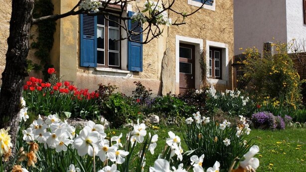 A building with blue shutters and a garden with white flowers.