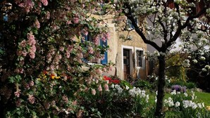 A garden with flowering trees and a building with blue shutters.