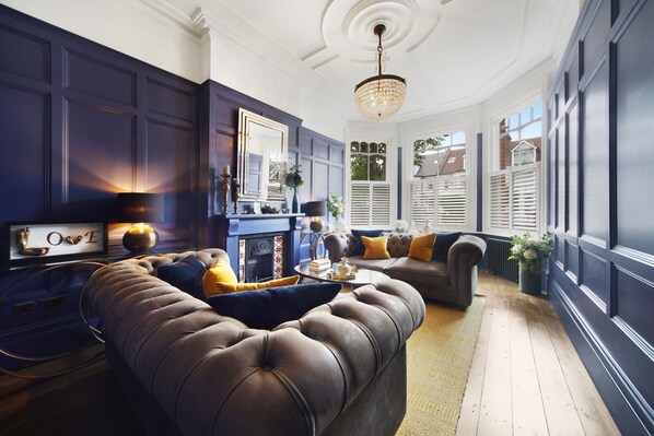 TV, fireplace, DVD player, books