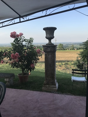 View from room