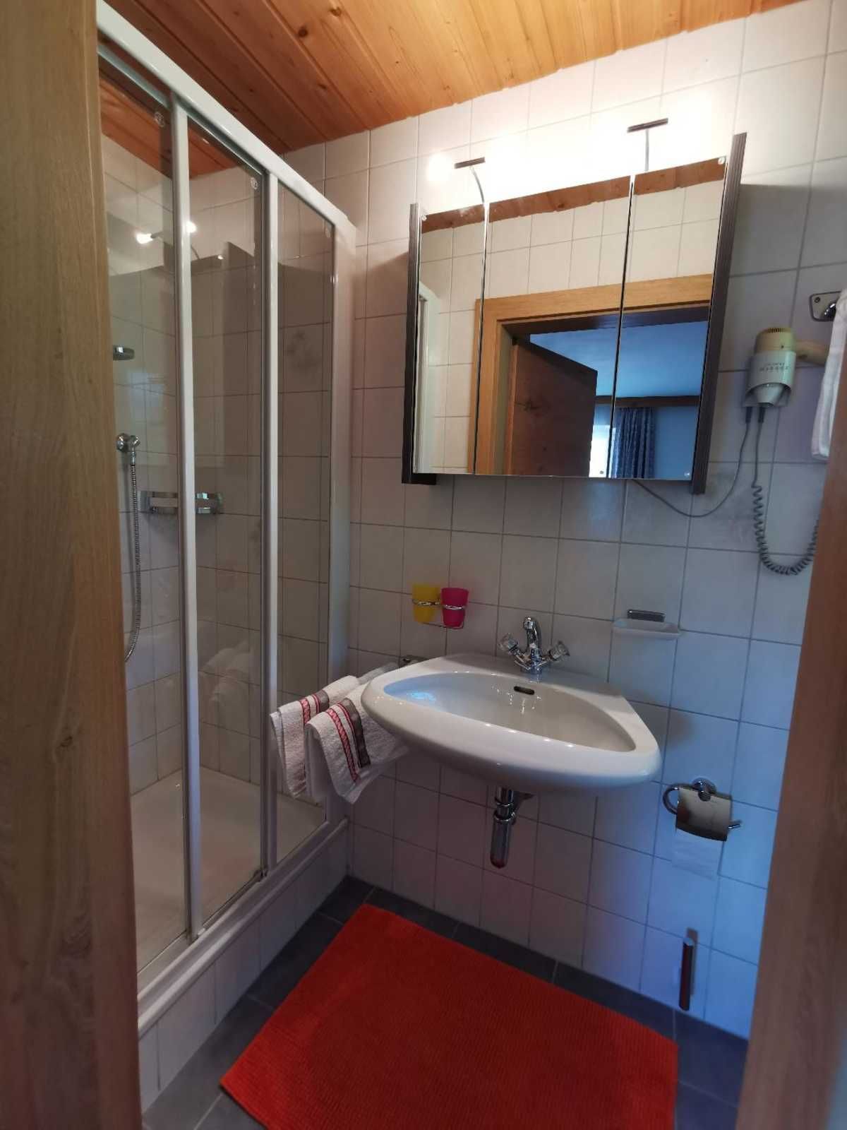A bathroom with a glass shower enclosure, a white sink, a mirror, and a red rug.