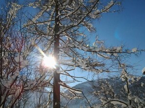 Miscellaneous - Single room EINSTEIN - Pension Tannheim - Family Kleiner and Neumann (Tannheim)