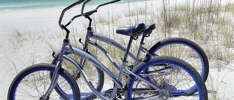 Playa en los alrededores