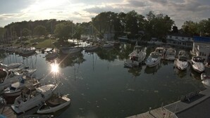 Un port de plaisance où sont amarrés de nombreux bateaux, entouré d’arbres et de bâtiments.
