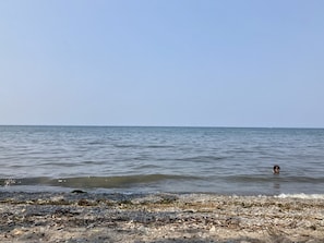 Uma praia com costa rochosa e mar calmo.