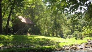 Un chalet rustique situé au bord d’un ruisseau, entouré d’une forêt dense.