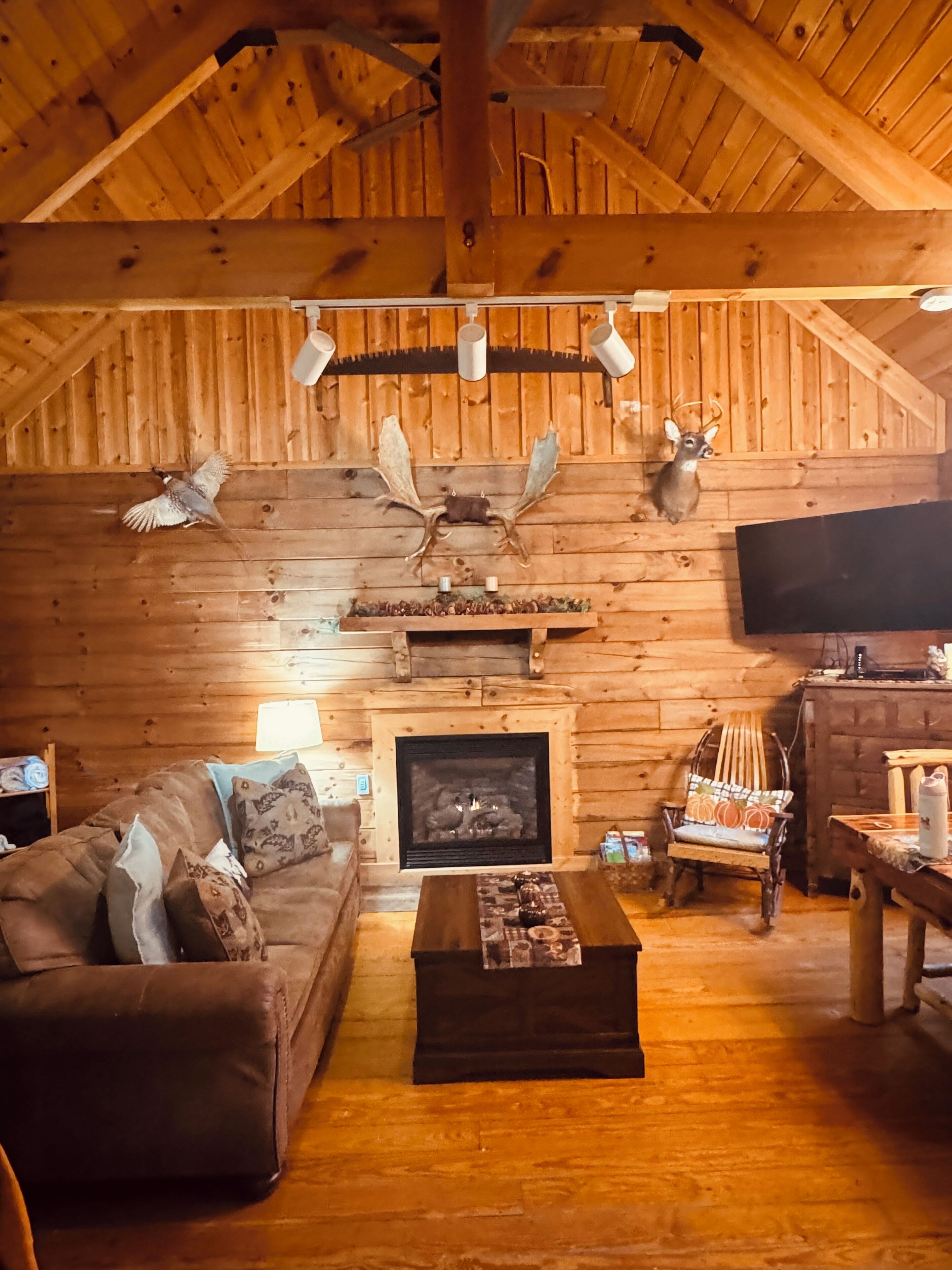 TV, fireplace, DVD player