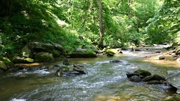 Une rivière qui traverse une zone boisée, avec des rochers et de la végétation.