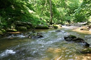 A river flowing through a forested area with rocks and greenery. - BRAND NEW JACUZZI HOT TUB Real Log Cabin, Beautiful Rushing Trout Stream, Wifi. (Deep Gap)