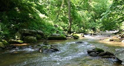 Réel Log Cabin, Belle Rushing Trout Stream, New Hot Tub, Wifi